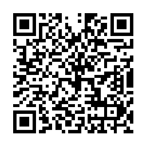 所有灵草精粹在空中按照一个圆圈盘旋飞舞的速度越来越快二维码生成