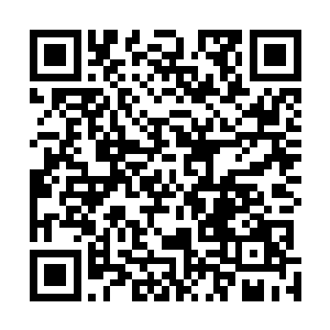 所有的圣级大修士都知道域外天魔就是一种半透明的东西二维码生成