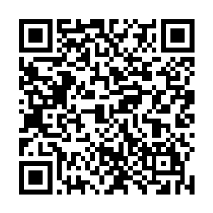 所有的巨龙顿时感觉到那种来自灵魂的颤抖终于消失了二维码生成