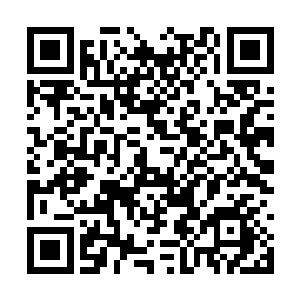 所有的牲口听了都有一种大开眼界豁然开朗的感觉二维码生成