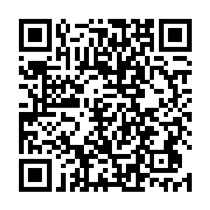 所有的线条比例有着年轻人身上特有的那种青春和完美二维码生成
