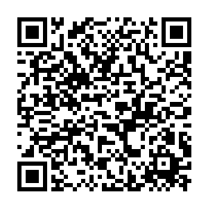 所有被关押的白莲教徒都异口同声的指出毕懋康是他们的窝主……二维码生成