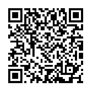 所有试炼之路发生的大事我无极楼几乎都有记载二维码生成