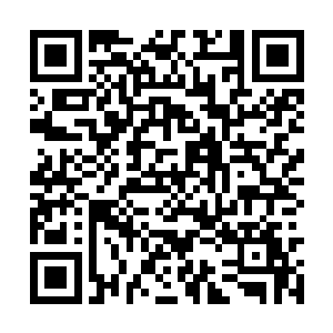 所有魔族的注意力都放在了他们首领的那条长枪上二维码生成