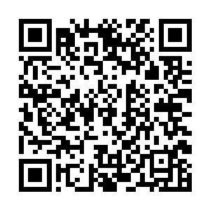 所能够得到的资源自然也比一般神族修炼者更好更多二维码生成