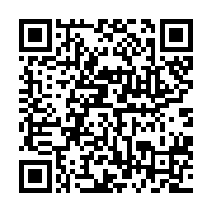 手下有人马听命办事不用自己亲自出马去冒险的感觉真爽二维码生成
