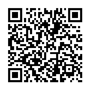 手中闪着精光的两只狼爪朝着刀无双疯狂的卷去二维码生成