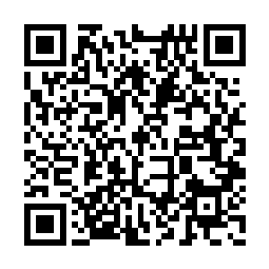 手指上的血在这么流下去我都要失血过多了……二维码生成