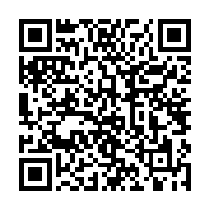 手牌一张都没有……你以为自己还能活到下个回合吗二维码生成