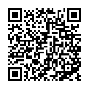 手腕上价值四十来万的名贵金表被他一把摔在地上二维码生成