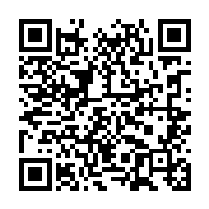 手臂被那位不知何时转身停步的中年管事轻轻握住二维码生成