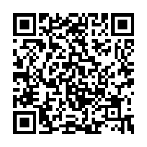 才从雪儿等人的嘴中获知刚才都督府来过人告知二维码生成