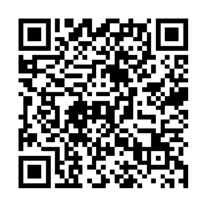 才刚刚走了那贯穿东西两边的大道不到四分之一的距离二维码生成