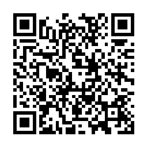 才在一个月之内把实力提升到和我不相伯仲的地步二维码生成