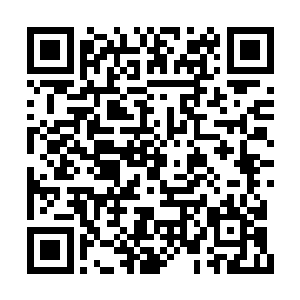 才能从礼部库房里把两三百中式试卷抄一份出来二维码生成
