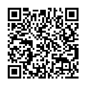 才能忍住不把对面占了极大便宜的小崽子一脚踹到城墙下面二维码生成
