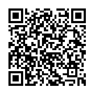 才能解释靳沫卿与靳如歌之间稀有的朝鲜族血液二维码生成