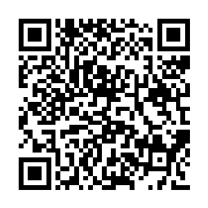 打开笼子门然后放进去诱饵再关上笼子门就行了二维码生成