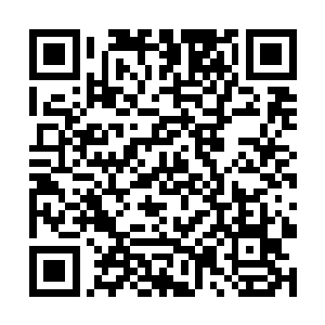 打开箱子化整为零的把里面那些排列整齐的枪支弹药二维码生成