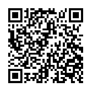 打的主意自然是想从这二人的口中得到详细的资料二维码生成