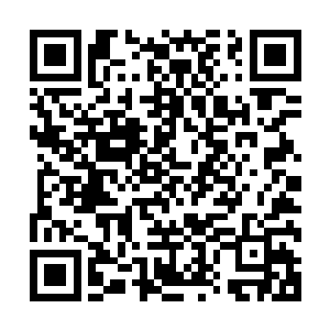打算借这只菜鸟将官场中他所不知道那些规则和暗道给扯出来二维码生成