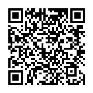 扶桑老头子此刻几乎将修罗之心的威力催发到了极致的二维码生成