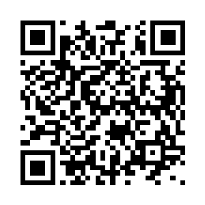 找出一件灰色西装和运动服装进那个运动背包二维码生成