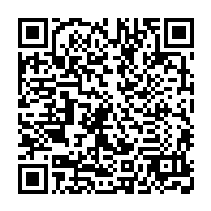 把他们乾元国的最天才段天涯夸得简直都要超过了他的父亲大罗金仙的段威天二维码生成