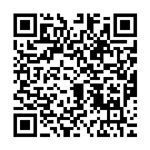 把他们从手无缚鸡之力的平民变成残忍暴虐的怪兽和杀戮机器二维码生成