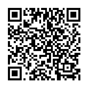 把原本坚硬无比的白骨此刻也迅速的腐烂了起来二维码生成