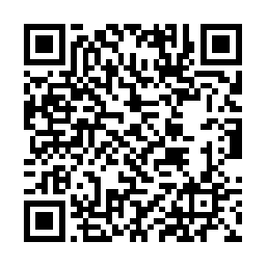 把双塬区委书记和招商引资局局长入选先行介绍之后二维码生成