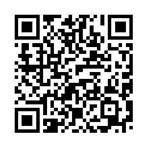 把君诚集团交给安妮和晋岩负责去二维码生成