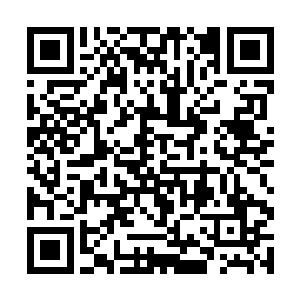 把小福那么阳光开朗天真的小孩欺负成了一阴郁小孩二维码生成