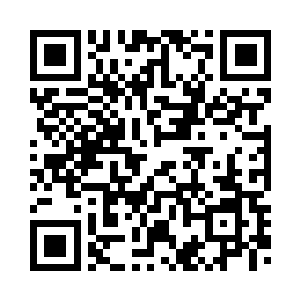 把希望都放在了凤凰虚影的涅槃上二维码生成