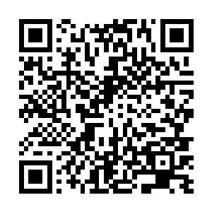 把张伯这些日子的举动看成是被那个女人诱惑误入歧途二维码生成