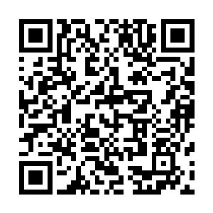 把森林中潜伏的缅族武士通通送进了明军斥候布设的埋伏圈二维码生成