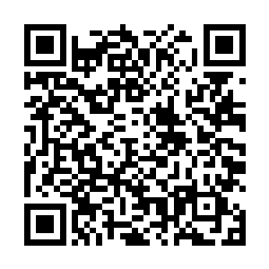 把气得咬牙切齿的陶泽锋更是挤兑得找不到言语的反击二维码生成
