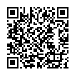 把装柿子饼的小筐往夏天怀里一塞就让她赶紧吃二维码生成