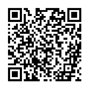 把这把火烧得越旺越好――如果他露出丝毫虚弱的迹象二维码生成