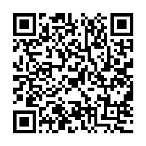 把钢管重重的抽打在那群躬身踢打游客的暴徒背上二维码生成