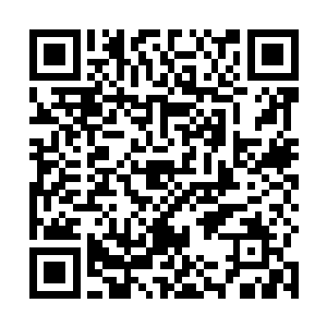 抑制住脱下面具蹭饭的冲动……找了个靠墙的角落站定二维码生成