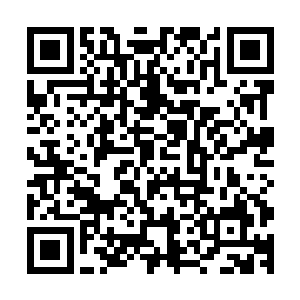 抓过短剑咬在嘴里像猿猴一样的顺着木楼的缝隙就攀上了二楼二维码生成