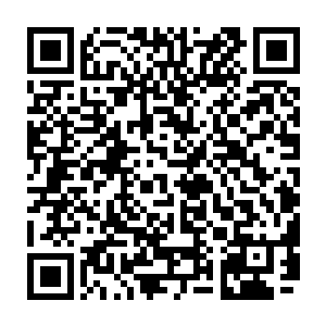 投资后环海集团除了派出了一名经理协助老孙管理外也就基本不怎么过问了二维码生成