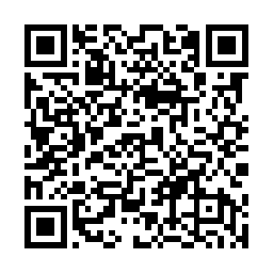 抽奖轮盘上的4个金色空格也渐渐被金色所光辉所填满二维码生成