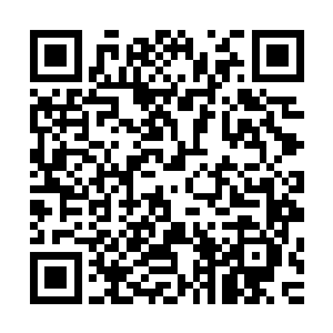 拉波尔塔否定了他和黛玻菈的约定……拉波尔塔迟早会后悔的二维码生成