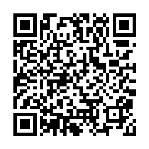 拉着楚芸萱的手就往度假村的露天烧烤场过去了二维码生成
