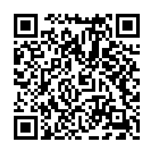 拳头上传来的反震之力令他突然感觉有一点不妙二维码生成