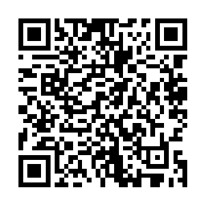 拼命想把对方摔翻在地――鬼知道我们到底是因为什么在打二维码生成
