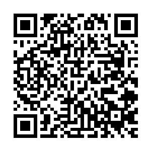 拼着手掌两侧各磨掉了一层皮的代价总算是把镯子给摘了下来二维码生成