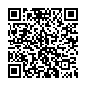 拿出一百万支给他们分也应该足够吸引他们动手二维码生成